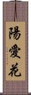 陽愛花 Scroll