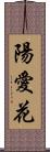 陽愛花 Scroll