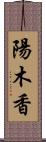 陽木香 Scroll