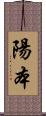 陽本 Scroll