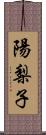 陽梨子 Scroll