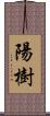 陽樹 Scroll