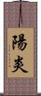 陽炎 Scroll