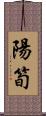 陽筍 Scroll