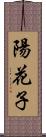 陽花子 Scroll