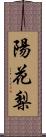 陽花梨 Scroll