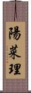 陽菜理 Scroll