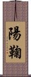 陽鞠 Scroll