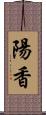 陽香 Scroll