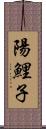 陽鯉子 Scroll