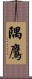 隅鷹 Scroll
