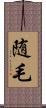 随毛 Scroll