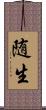 随生 Scroll