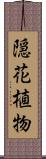 隠花植物 Scroll