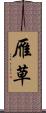 雁草 Scroll