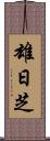 雄日芝 Scroll