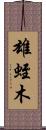 雄蛭木 Scroll