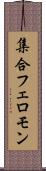 集合フェロモン Scroll