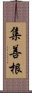 集善根 Scroll