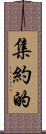 集約的 Scroll