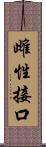 雌性接口 Scroll