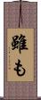 雖も Scroll