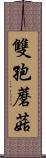 雙孢蘑菇 Scroll