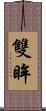 雙眸 Scroll