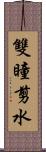 雙瞳剪水 Scroll