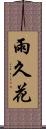 雨久花 Scroll