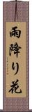 雨降り花 Scroll