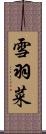 雪羽菜 Scroll