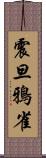 震旦鴉雀 Scroll