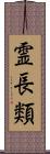 霊長類 Scroll