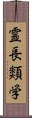 霊長類学 Scroll