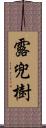 露兜樹 Scroll