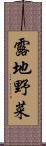 露地野菜 Scroll