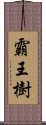 霸王樹 Scroll