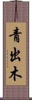 青出木 Scroll