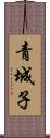 青城子 Scroll