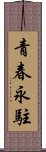 青春永駐 Scroll