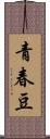 青春豆 Scroll