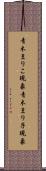 青木まりこ現象 Scroll
