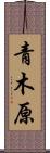 青木原 Scroll