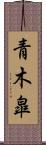 青木皐 Scroll