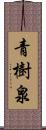 青樹泉 Scroll