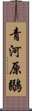 青河原鶸 Scroll