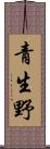 青生野 Scroll