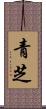 青芝 Scroll