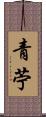 青苧 Scroll